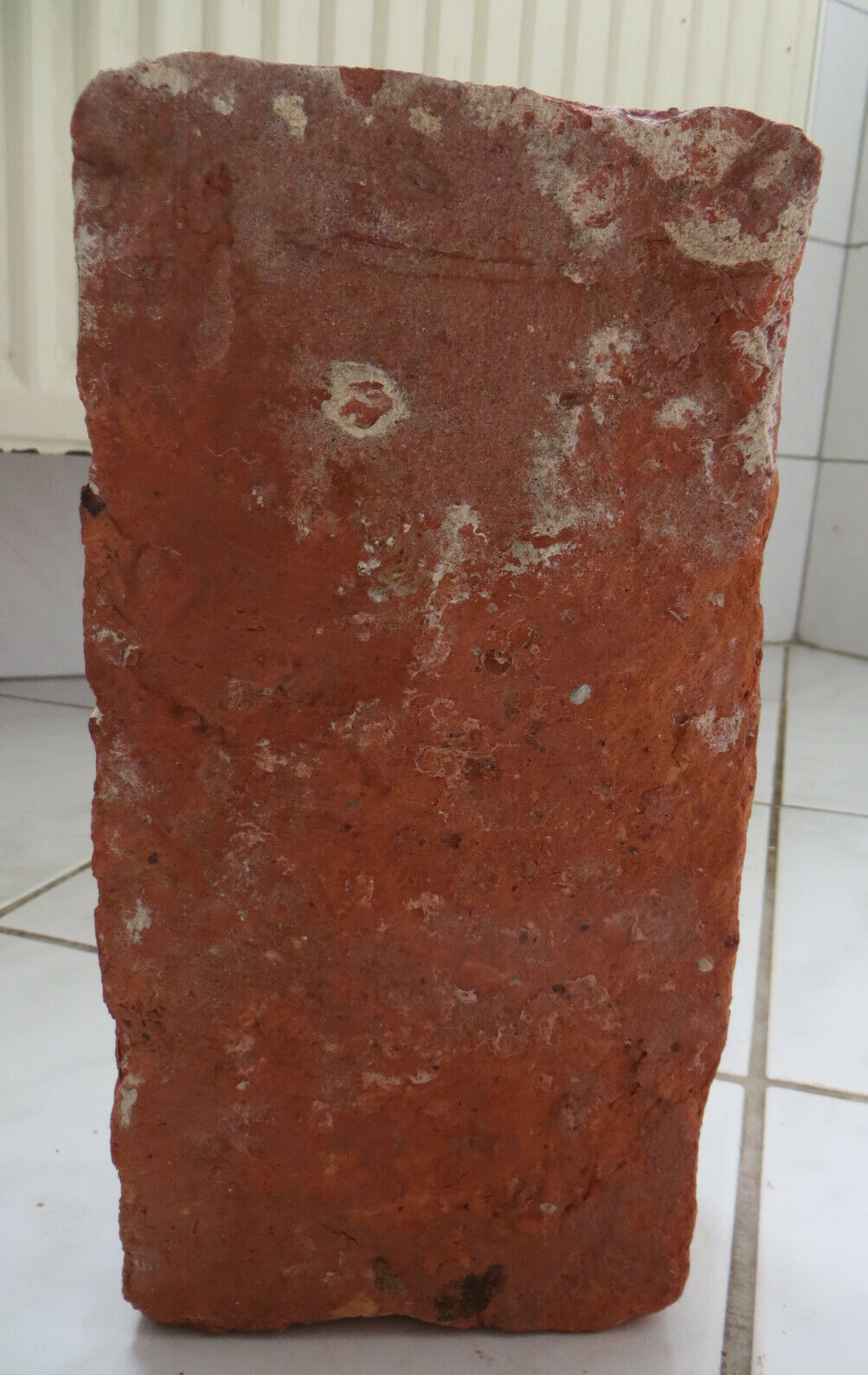 Bild 4 von 6
