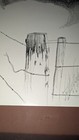 Picture 6 of 7