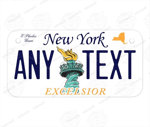 Custom Any State Kids Bicycle Personalized Metal License Plate with Name/Text - Picture 137 of 185