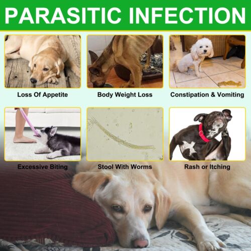 FLEA and TICK Soft Chews Treats for DOGS Natural Ingredients Treatment Solution - Picture 9 of 17