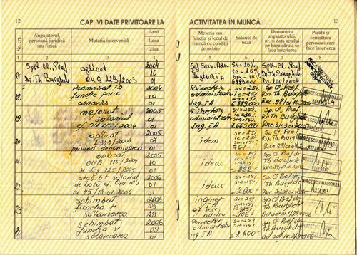 Rumänien, 2002, Beschäftigungsakte, Arbeitsbuch - Klinikkrankenhaus Theodor Burghele - Bild 8 von 13