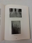 Picture 20 of 23