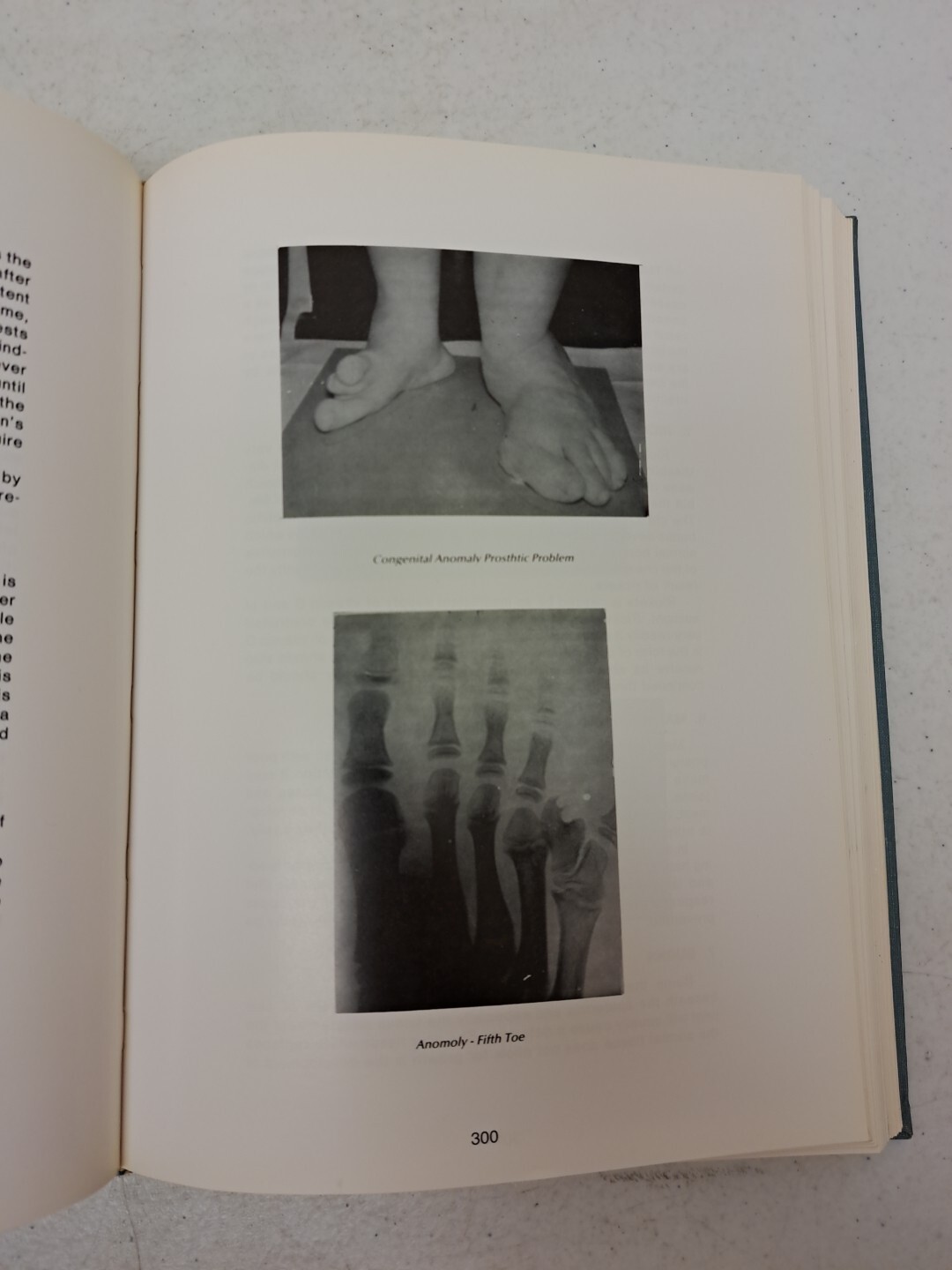 Picture 20 of 23