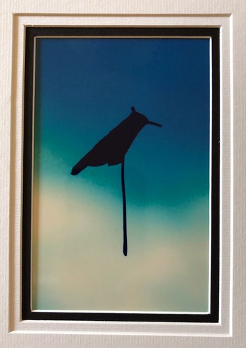 Leaf ‘bird’ Silhouette Original Photograph - Picture 2 of 7