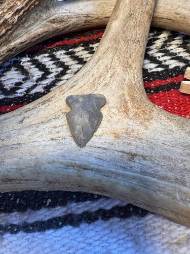Archaic Period Palmer Arrowhead Rockingham County Virginia. C97 - Picture 13 of 18