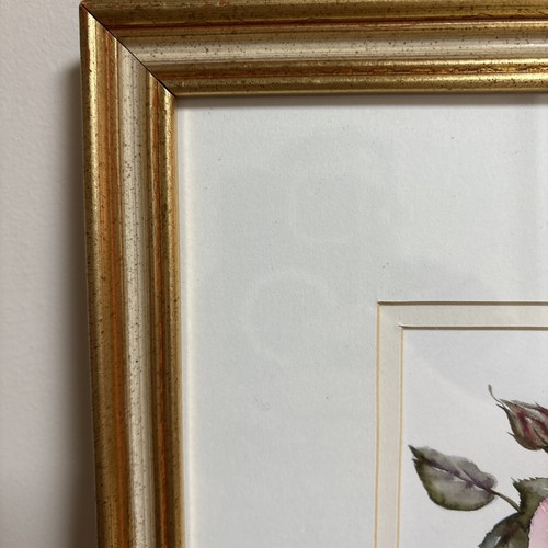Gerahmter rosa Rosendruck - Vintage botanischer Stil Blumenkunstwerk in Goldrahmen - Bild 7 von 12
