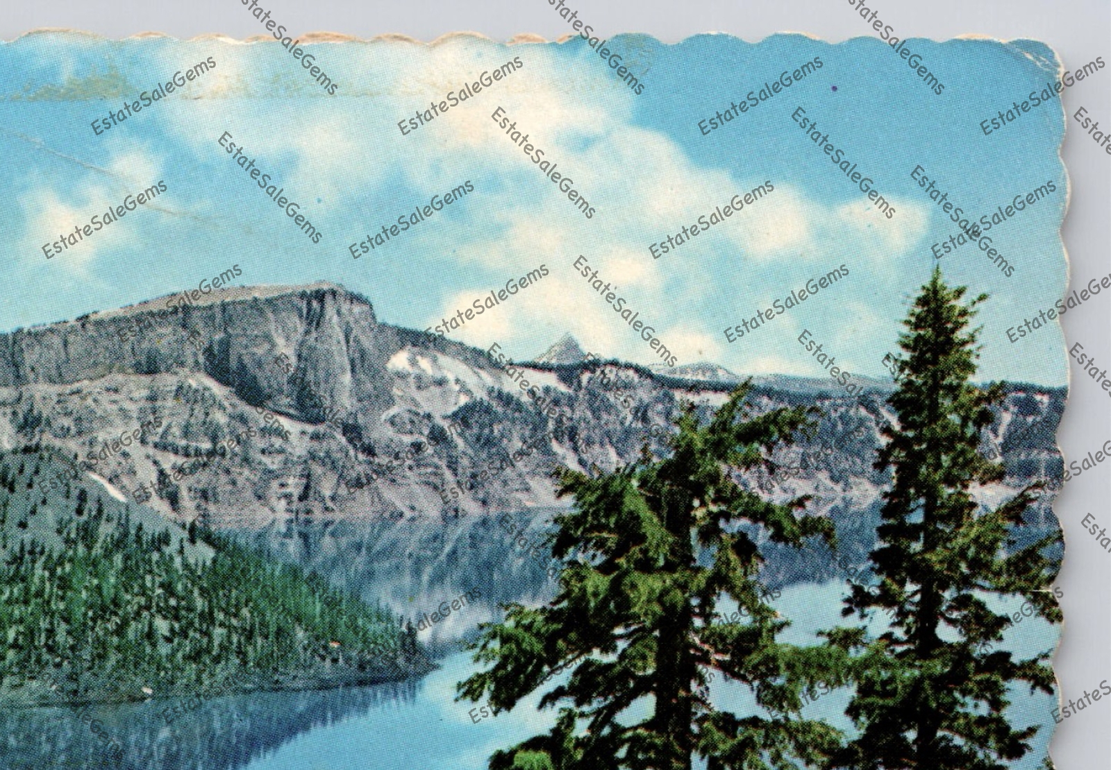 Picture 9 of 14