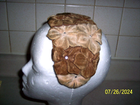 Picture 17 of 21