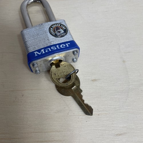 Master Lock n. Lucchetto 3 Acciaio Laminato con 2 Chiavi - Catena 2 - Foto 7 di 7