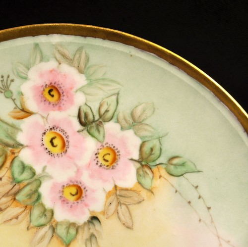 Bavaria J&C Jaeger & Co. Cake Plate Artist E Hugh Wild Pink Roses Gold 1902-1908 - Picture 7 of 12