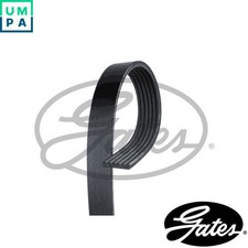 VRIBBED BELT 6PK738 FOR VW GOLF/Van/III/VI/PLUS POLO/IV CADDY/Box/Body/MPV 1.4L