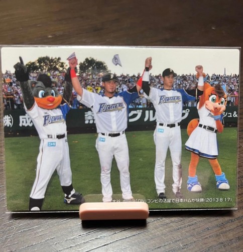 Shohei Ohtani 2015 Calbee Starcard Gold Foil Autograph Hokkaido Nippon-Ham - Picture 3 of 4