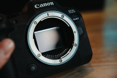 Canon EOS R6 Mark II 24.2 MP Digital Camera- Black (Body Only) - Picture 9 of 12