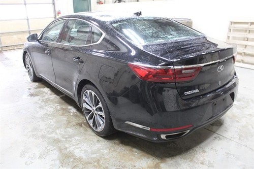 Driver Left Air Bag Front Driver Roof Fits 17-19 CADENZA 2799182 - Picture 7 of 11