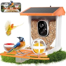Solar Bird Feeder with Camera,2K HD AI Identify Smart Bird Feeder Orange