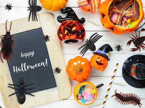 150pcs Realistic Fake Bug Trick Toys - Insects Halloween Prank Toy Bugs Cockr... - Picture 6 of 9