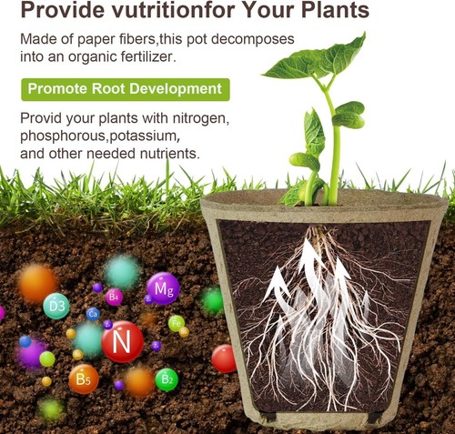 Sustainable Gardening with 12 Biodegradable Peat Pots - Ideal for Indoor Plants - Picture 6 of 8