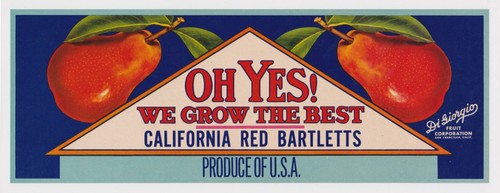 Konvolut 13 Vintage Produkte/Konserven Etiketten * Melonen, Tomaten, Rüben, Lachs - Bild 3 von 12