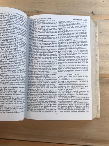 Holy Bible KJV HC Vintage First Baptist Church Hampton SC American Bible Society - Picture 8 of 8