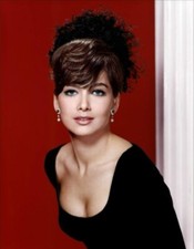 BEAUTIFUL SUZANNE PLESHETTE 8X10 Photo