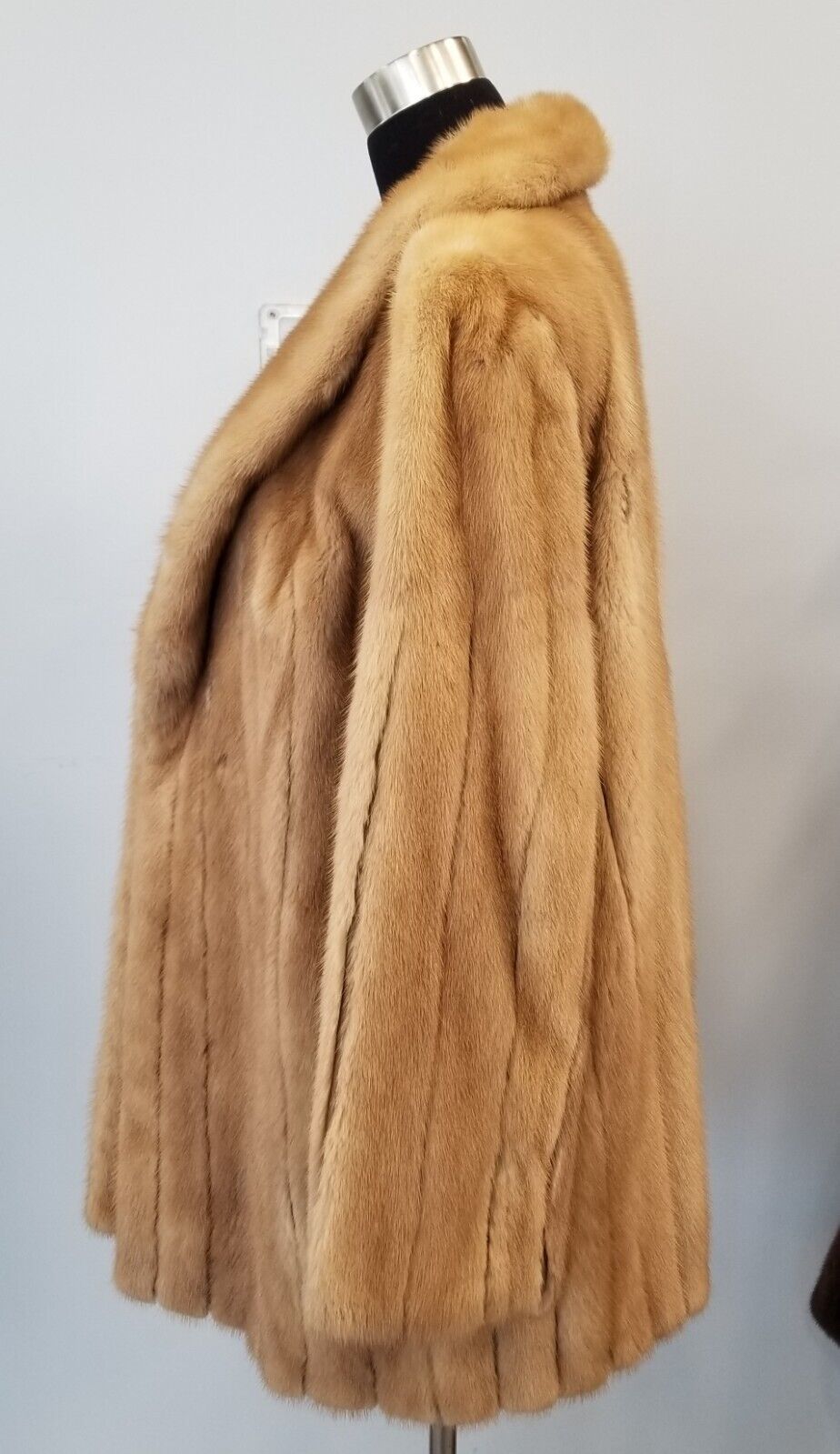 Picture 4 of 13