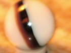 Bild 7 von 8