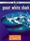 Inside Nature S Giants Great White SH 0841887016544 DVD Region 1