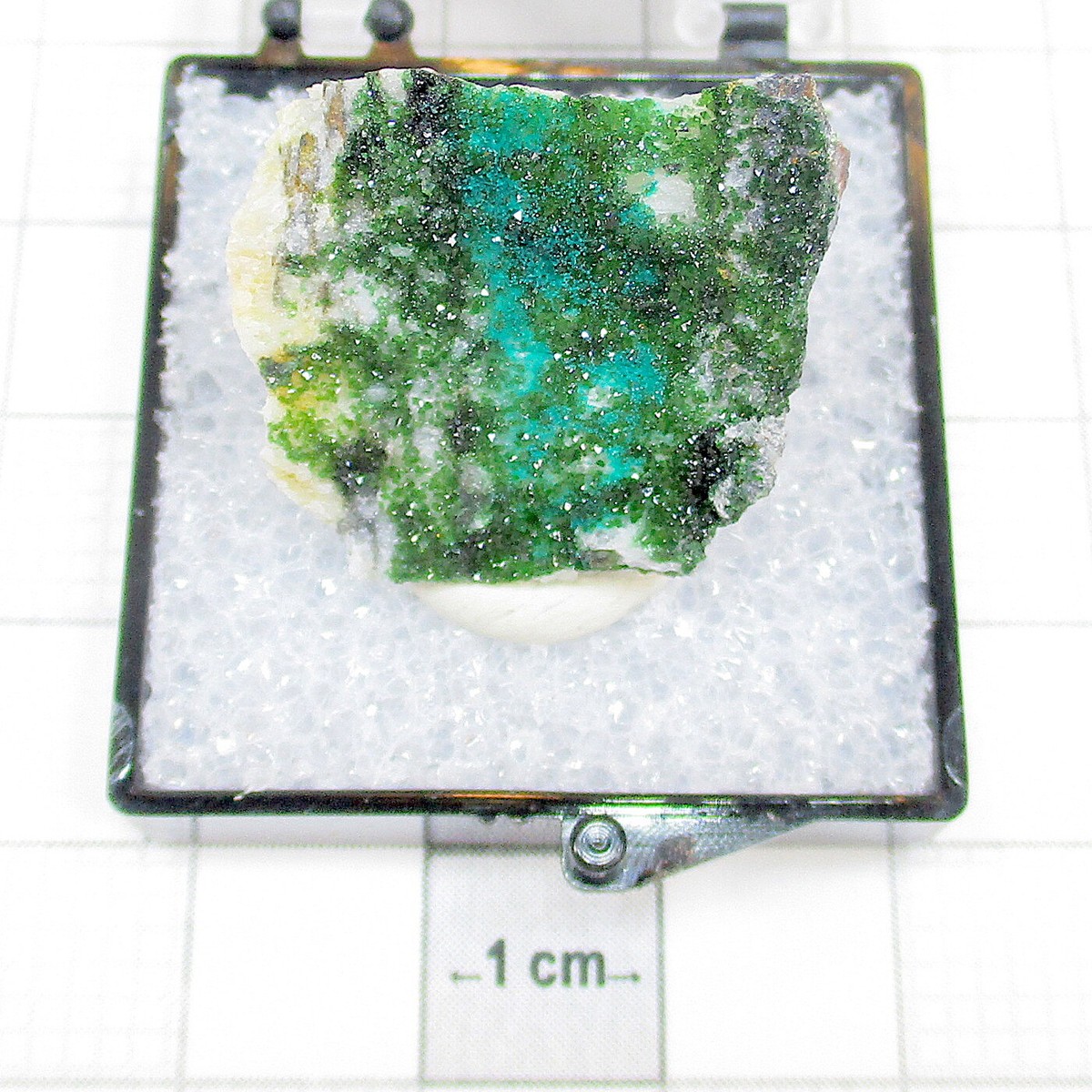 03806 TN Libethenite Chrysocolla Ingadanais Mines Castelo Branco Portugal 55727