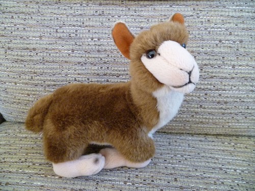 Leosco Collection Dowman Soft Touch liegendes sitzendes Lama Alpaka Plüschtier sehr guter Zustand - Bild 1 von 7