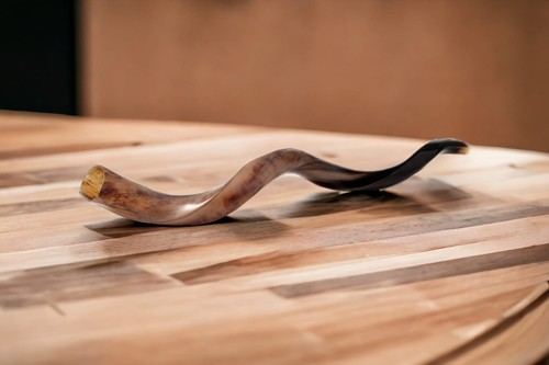 Shofar Vollpolitur koscheres Kuduhorn 24""-28"" - (60-70cm) + Tasche + Geruchsspray - Bild 13 von 24