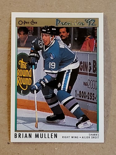 1991-92 O-PEE-CHEE PREMIER OPC HOCKEY CARDS YOU PICK FREE SHIPPING 50% OFF 2+ - Picture 197 of 225