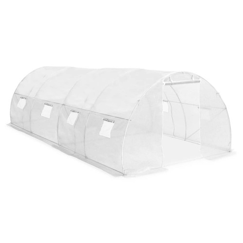 36m² Greenhouse for Your Outdoor Plants with Viewing Windows vidaXL - Picture 1 of 11