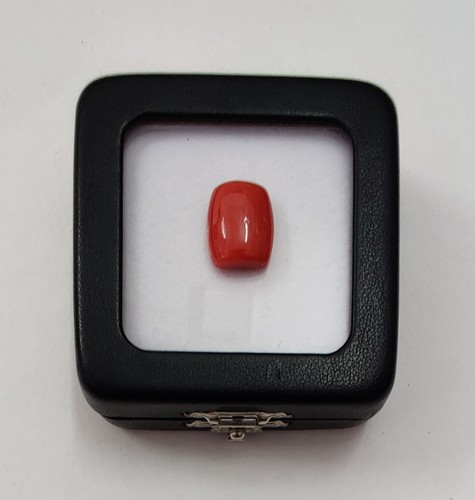 Cabujón de coral rojo 100 % natural Italia cabujón de coral rojo coral marino piedras preciosas sueltas - Imagen 11 de 13