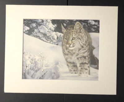 Charles Frace'  ''THE QUEST'' 11 x 14 Matted 1991 Bobcat Wildlife Print