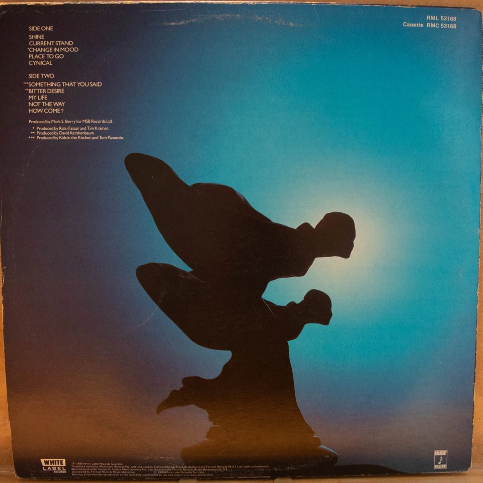 KIDS IN THE KITCHEN - SHINE - Vinyl LP- White - 1985 - VG FREE POSTAGE (2763) - Image 4 of 4