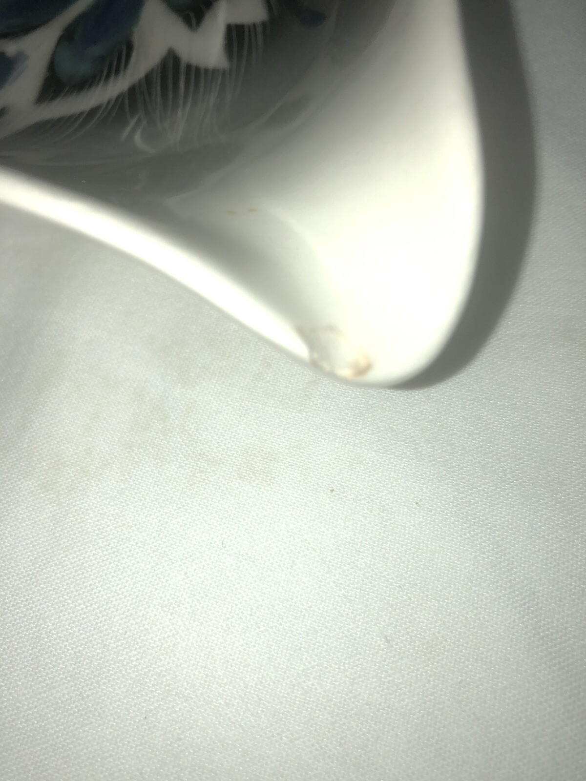 Picture 8 of 16