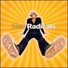 Maybe You've Been Brainwashed Too by The New Radicals: Used