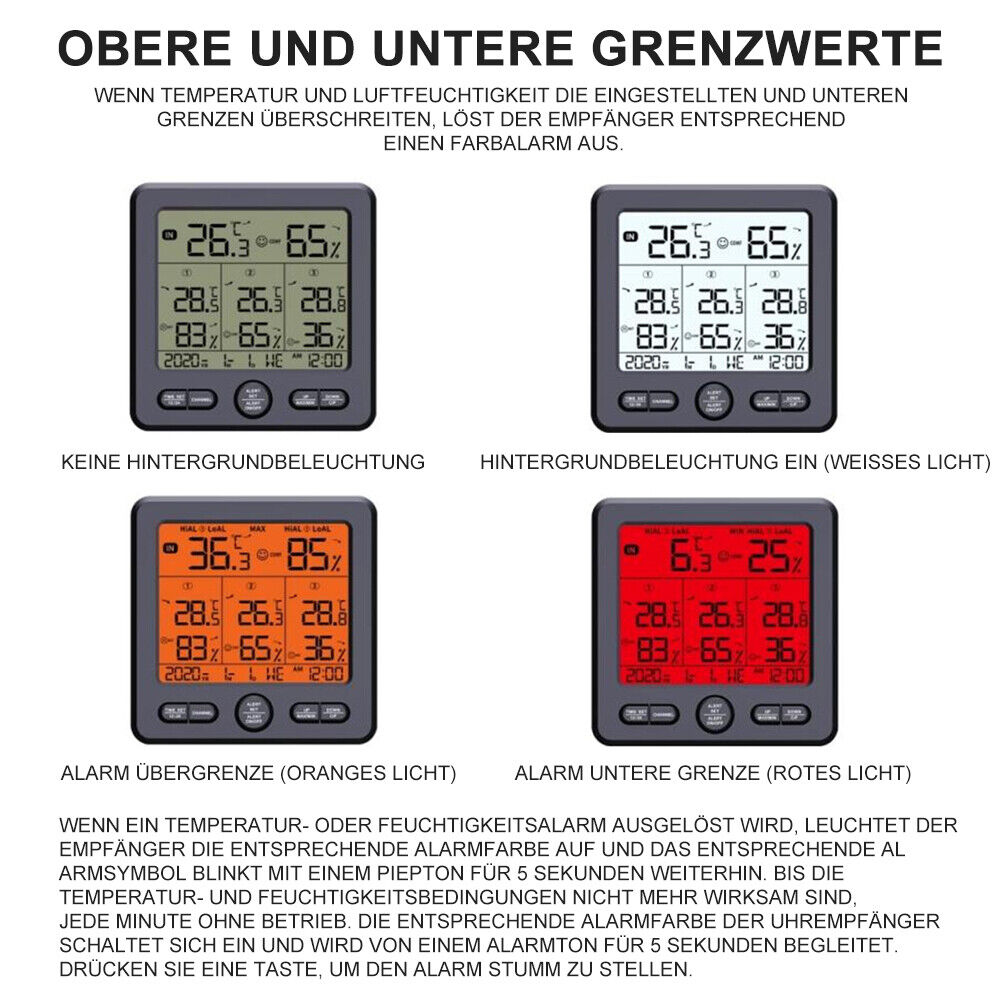 Bild 6 von 12