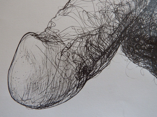Original Pen & Ink Anatomy Drawing of Male Phallus Art Penis Illustration NSFW - Picture 7 of 12