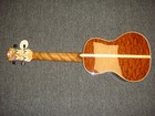 Picture 7 of 10