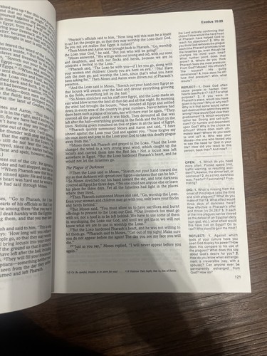 Serendipity Bible for Groups NIV 1st Edition 1988 - Picture 10 of 21