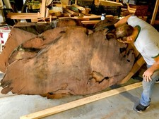 Old Growth Redwood root live edge slab w/light burned edges.