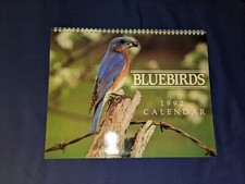 Bluebirds 1992 -  NEW RARE 12 x 10 Monthly Wall Calendar OUT OF PRINT