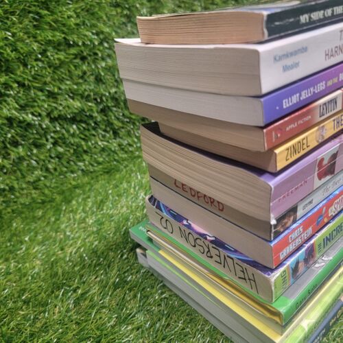 Lot of 14 Youth Young Adult Chapter Books - Paperback - Pre-owned - Picture 5 of 11