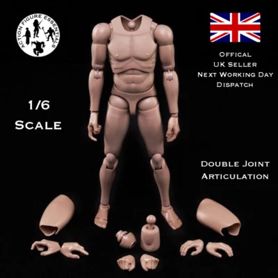 CUSTOM 1/6 1/6 Körper Actionfigur schmale Schulter männliche schlanke Puppe Modell 12" Hot Toys Maßstab