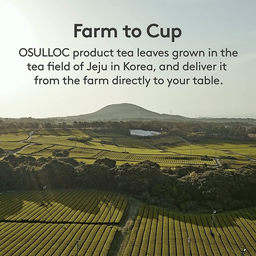 OSULLOC Lovely Tea Box 4 Geschmacksrichtungen x 3 Teebeutel Kollektion Geschenkset - Korea Essen - Bild 8 von 8