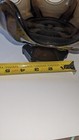 Picture 11 of 11