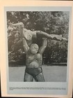 Picture 21 of 33