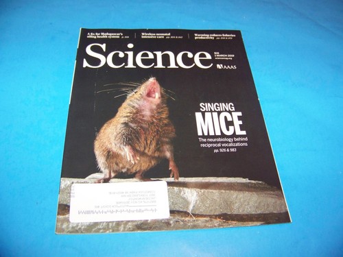 Science AAAS Magazine 2019 Singing Mice Reciprocal Vocalizations - Picture 1 of 4