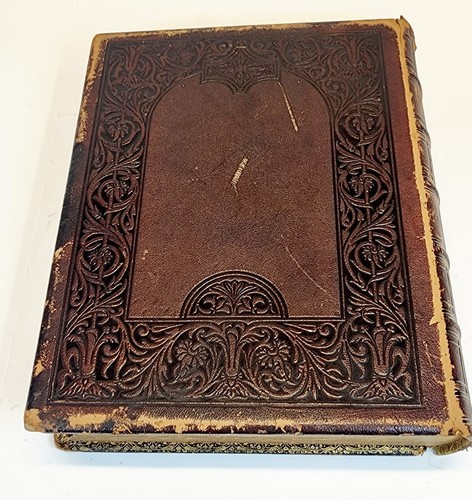 Picturesque America by William Cullen Bryant 1874 Volume II ONLY - Full Leather - Foto 4 di 12